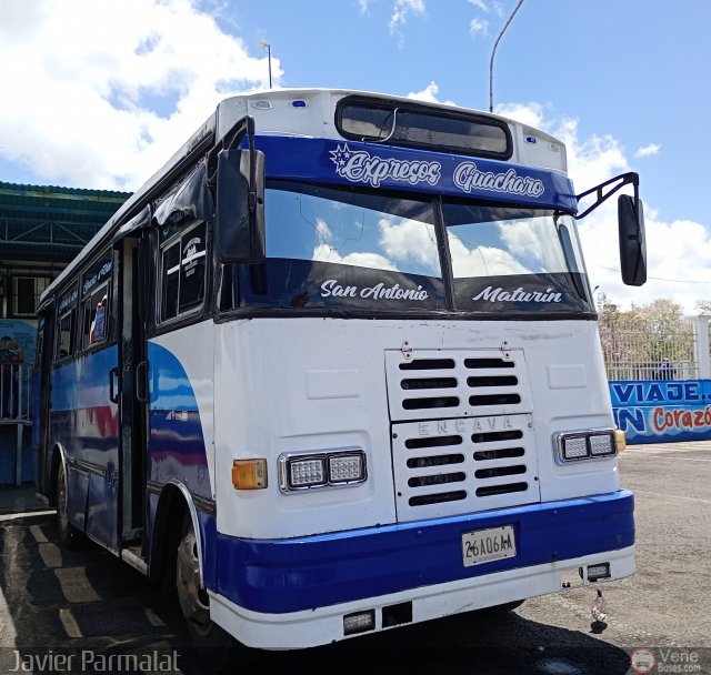 Expresos Gu�charo 25 por Javier Arretureta