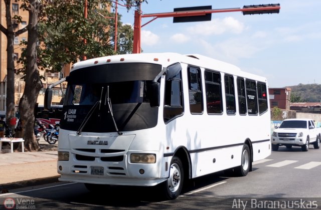 Particular o Desconocido 039 por Aly Baranauskas