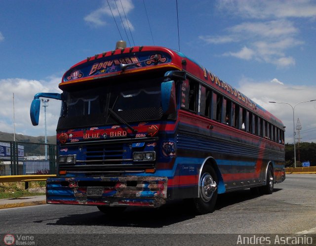 A.C. Boquerón Express 11 por Andrés Ascanio