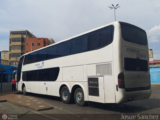 Expresos Pegamar 2025 por Josue Snchez