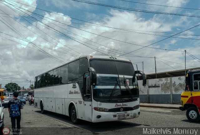Lnea Lara 005 por Maikelvis Monroy