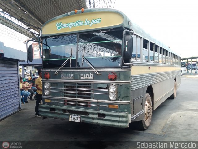 ZU - Colectivos Concepcin 104 por Sebastin Mercado