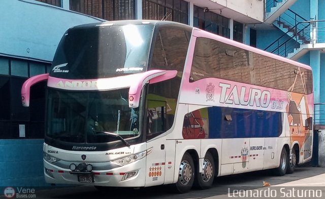 Transportes Tauro Bus 950 por Leonardo Saturno