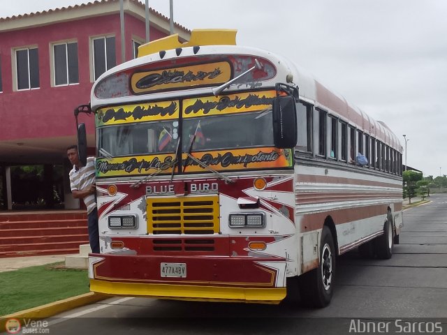 Colectivos Manuelote C.A. 17 por Abner Sarcos