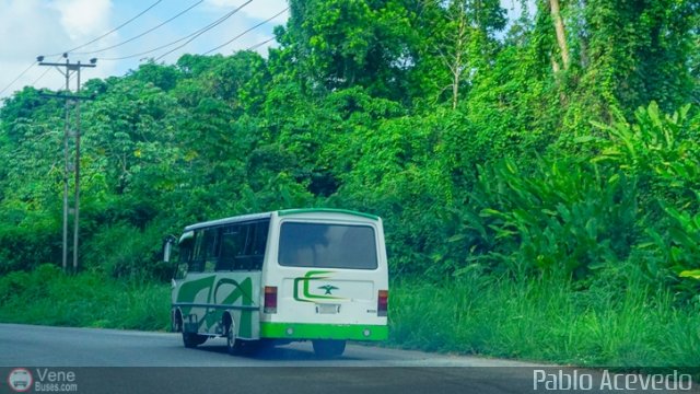 Sin identificacin o Desconocido Miranda por Pablo Acevedo