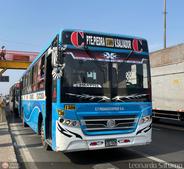 E.T. Pegasso Express S.A. 030 por Leonardo Saturno