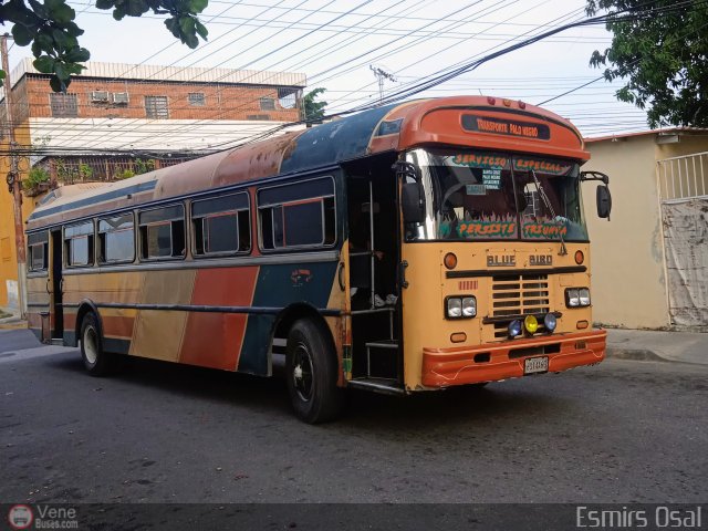 Transporte Colectivo Palo Negro 51 por Esmirs Osal