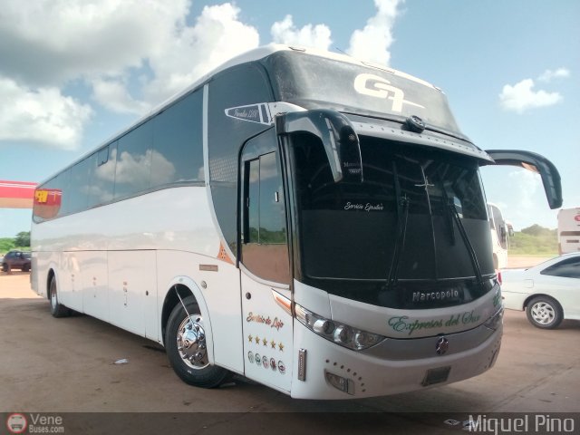 Expresos Del Sur 2028 por Miguel Pino