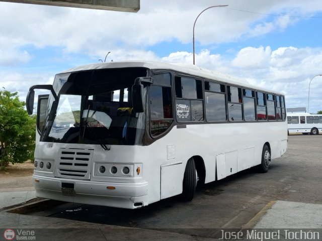 Vencedores Guayana 11 por Jos� Miguel Toch�n