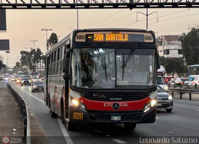 E.T. y Servicios Guadulfo Silva Carbajal 828 por Leonardo Saturno