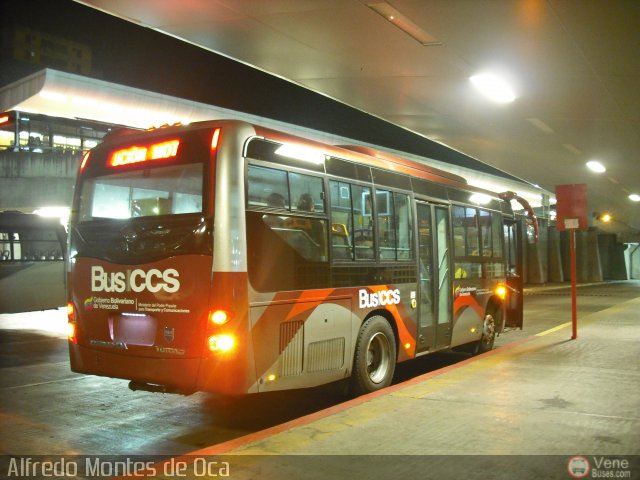 Bus CCS 1404 por Alfredo Montes de Oca