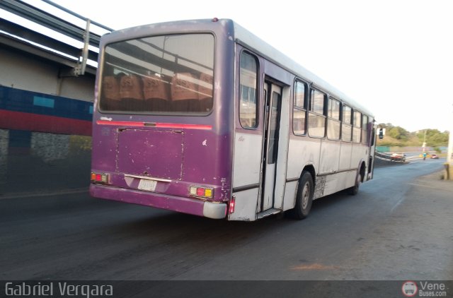 Organizacin Guaicamacuto 634 por Gabriel Vergara