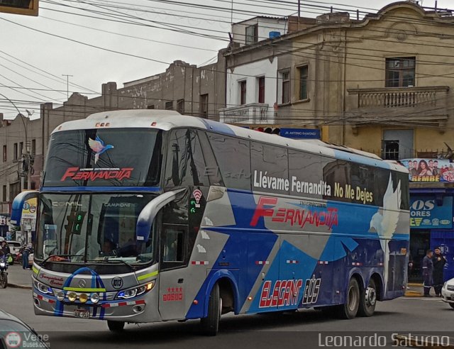 Expreso Internacional Fernandita EIRL 1013 por Leonardo Saturno