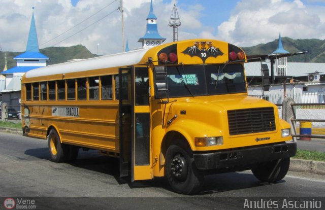 Expresos Gige 31 por Andrs Ascanio