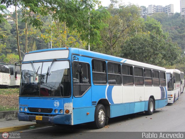 Particular 29 por Pablo Acevedo