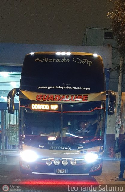 Empresa de Transporte Guadalupe Tours 968 por Leonardo Saturno