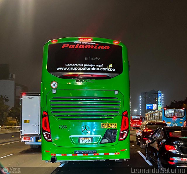 Expreso Internacional Palomino 7056 por Leonardo Saturno
