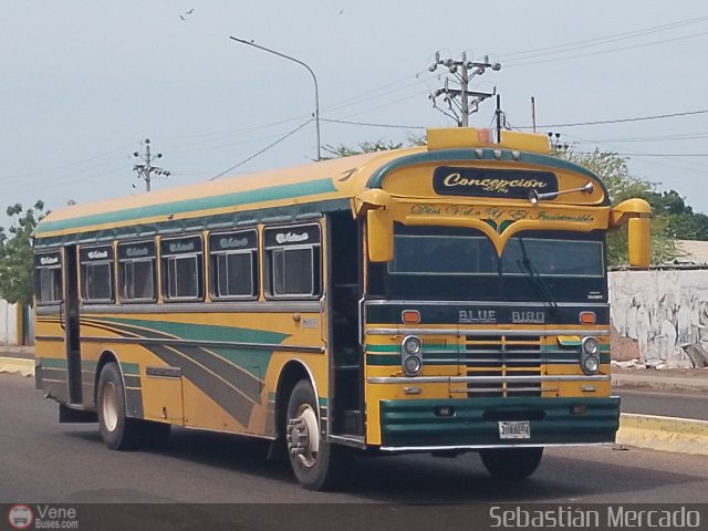 ZU - Colectivos Concepcin 018 por Sebastin Mercado