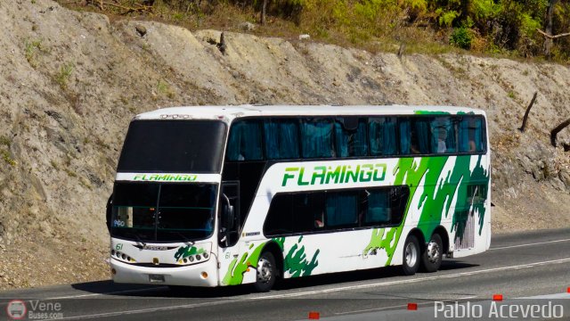 Expresos Flamingo 0061 por Pablo Acevedo