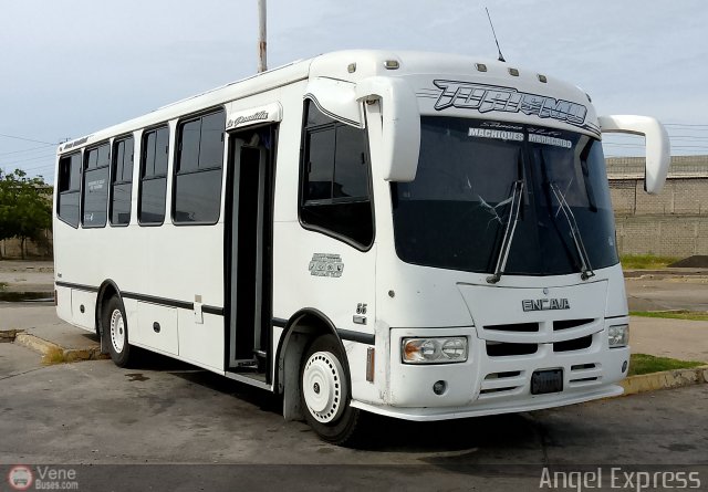 U.L.A.P. Machiques Maracaibo 55 por �ngel Delgado