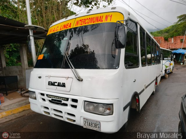 TA - A.C. Lnea Intercomunal 50 por Jerson Nova