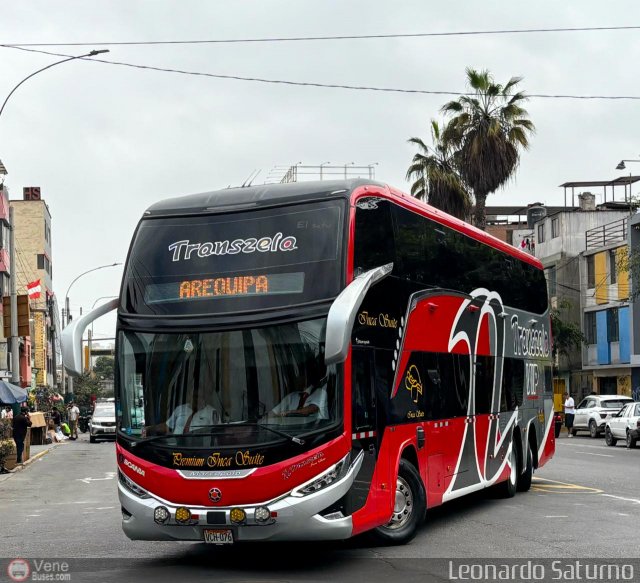 Transzela 076 por Leonardo Saturno