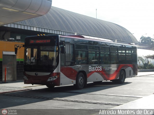 Bus CCS 1182 por Alfredo Montes de Oca