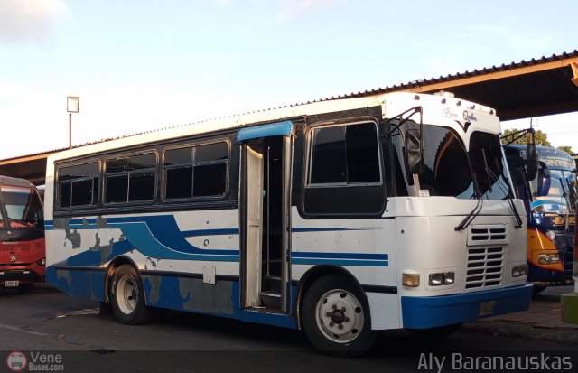 S.C. L�nea Qu�bor 13 por Aly Baranauskas