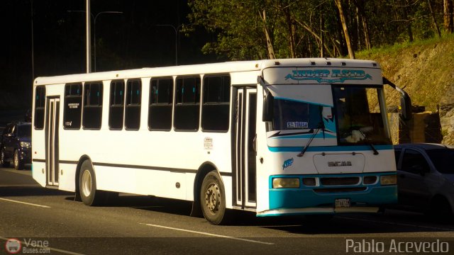 A.C. Indepasib 118 por Pablo Acevedo