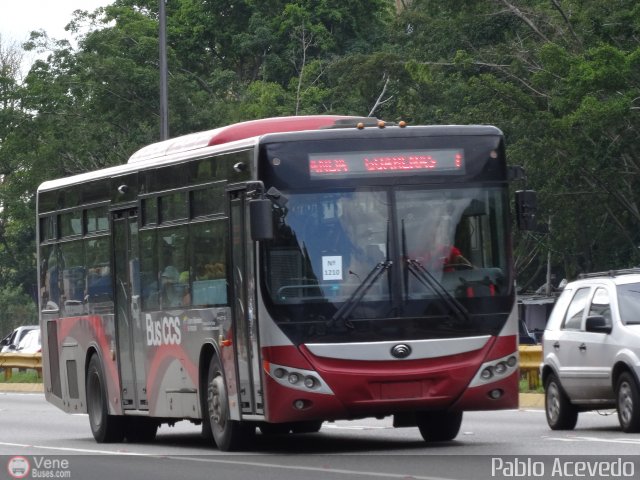 Bus CCS 1210 por Pablo Acevedo