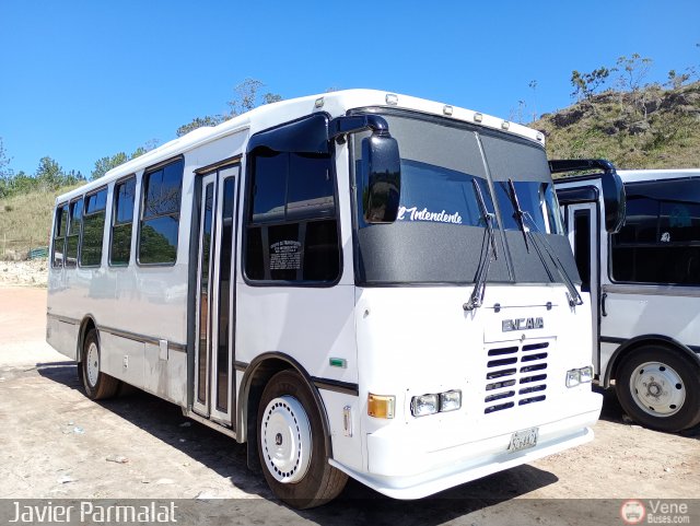 Grupo de Transporte Los Intendentes 011 por Javier Arretureta