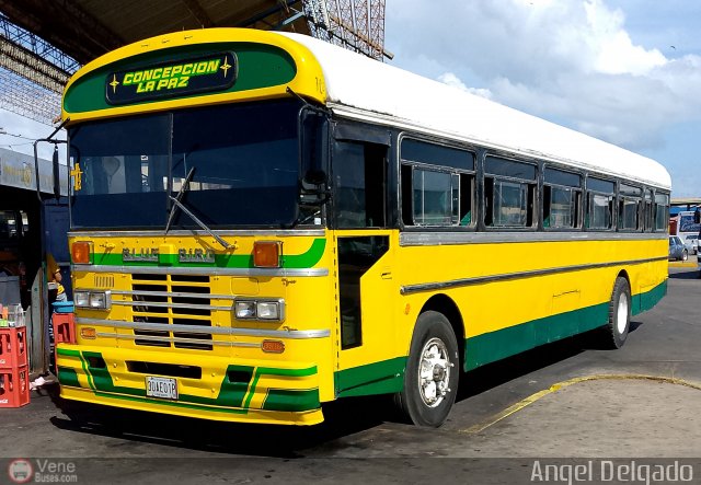 ZU - Colectivos Concepci�n 118 por �ngel Delgado