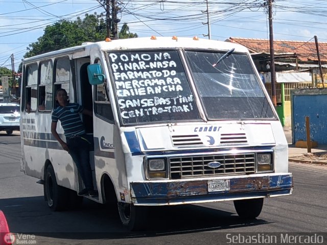 ZU - Colectivo Pomona 07 por Sebasti�n Mercado