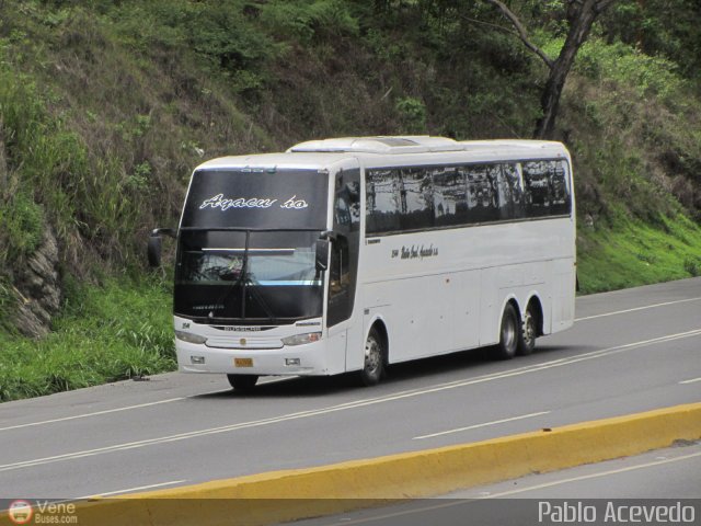 Unin Conductores Ayacucho 2544 por Pablo Acevedo