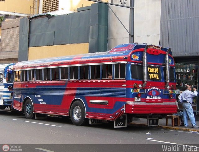 Transporte Colectivo Palo Negro 67 por Waldir Mata