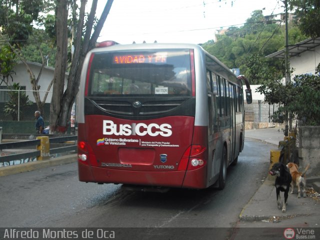 Bus CCS 1405 por Alfredo Montes de Oca