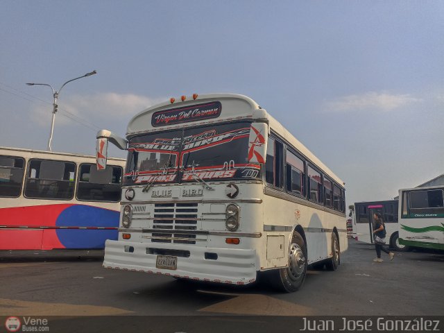 A.C. Uni�n Palo Negro 100 por Juan Jos� Gonz�lez