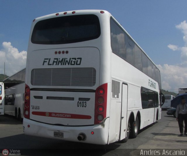 Expresos Flamingo 0103 por Andrs Ascanio