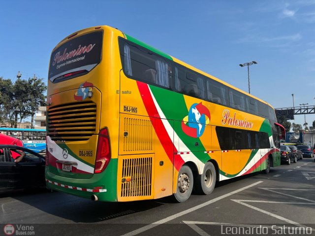 Expreso Internacional Palomino 786 por Leonardo Saturno