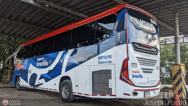 Expreso Brasilia 10081 por Joseph Puello