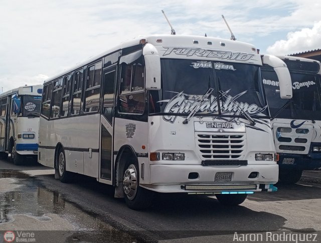 Uni�n Valencia A.C. 04 por Aaron Rodr�guez