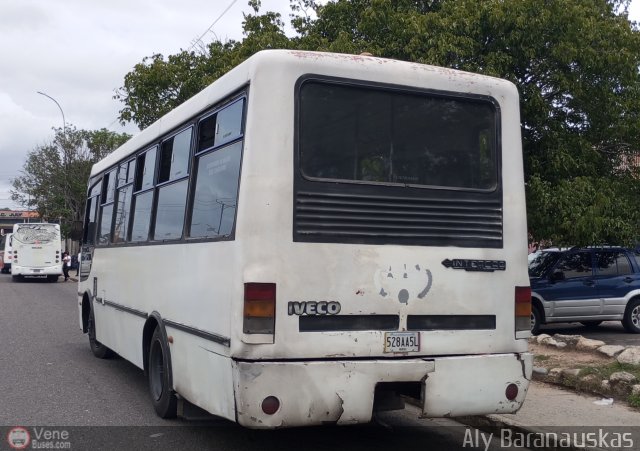 Transporte Virgen del Carmen 52 por Aly Baranauskas