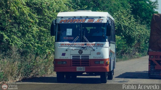 S.C. Expresos Mara 016 por Pablo Acevedo