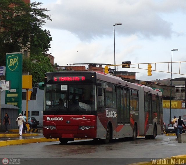 Bus CCS 1003 por Waldir Mata
