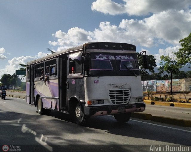 A.C. de Transporte La Raiza 060 por Alvin Rond�n