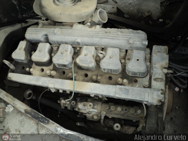 DC - Autobuses de El Manicomio C.A 71 por Alejandro Curvelo