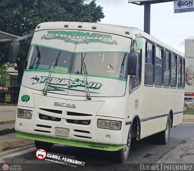 A.C. Indepasib 088 por Daniel Fernndez