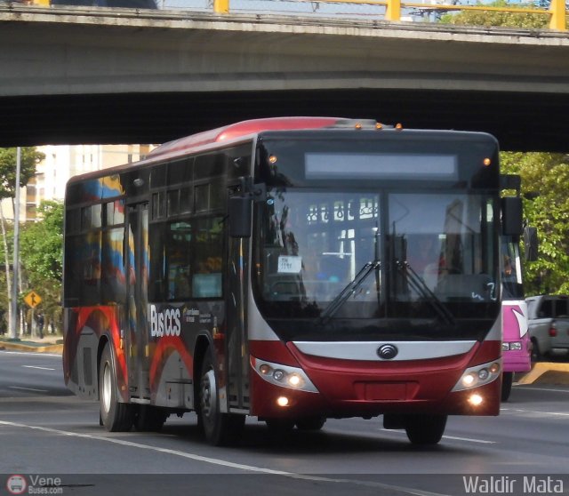 Bus CCS 999 por Waldir Mata