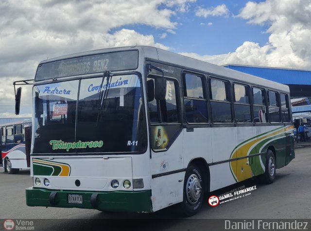 AR - Cooperativa La Pedrera 10 por Daniel Fern�ndez