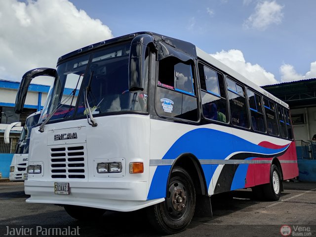 Expresos Guácharo 33 por Javier Arretureta